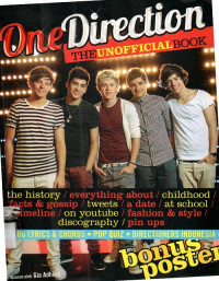 Image of One  Direction  The Unofficial  Book
