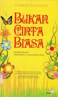 Bukan Cinta Biasa
