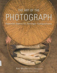 Image of The art of the photograph: Essential habits for stronger compositions